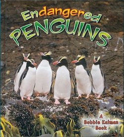 Endangered Penguins