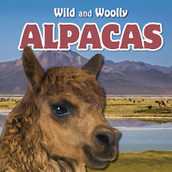 Alpacas