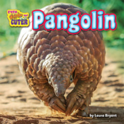 Pangolin