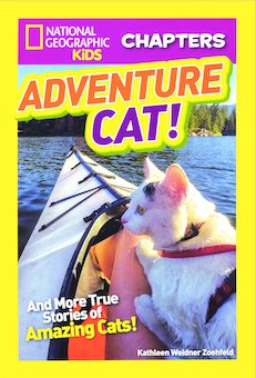 Adventure Cat!