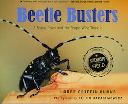 Beetle Busters: A Rogue Insect and the People Who Track It