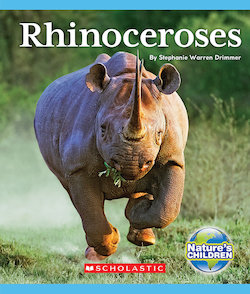 Rhinoceroses