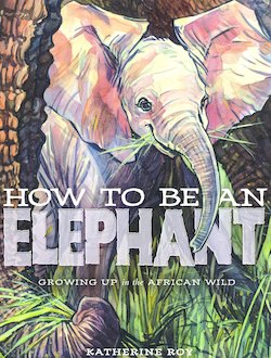 How to Be an Elephant: Growing up in the African Wild