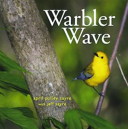 Warbler Wave