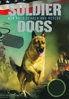 Air Raid Search and Rescue