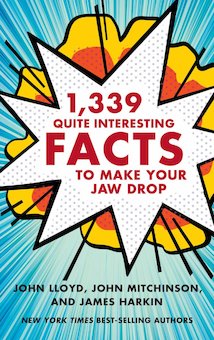 1339, Quite Interesting Facts to Make Your Jaw Drop