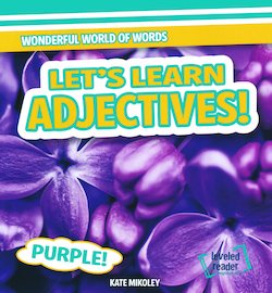 Let's Learn Adjectives!