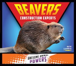 Beavers: Construction Experts