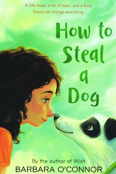 How to Steal a Dog: A Novel