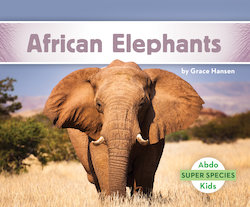 African Elephants