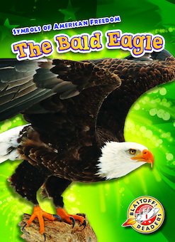 The Bald Eagle