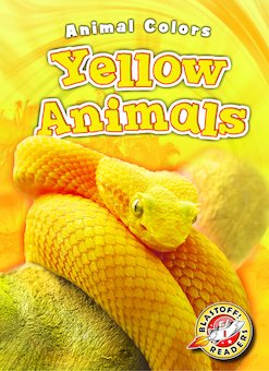 Yellow Animals