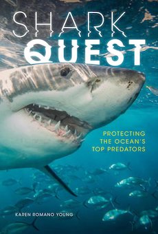 Shark Quest: Protecting the Ocean's Top Predators