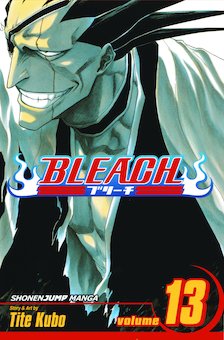 Bleach 13