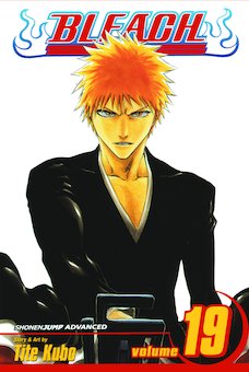 Bleach 19