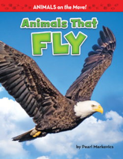 Animals That Fly