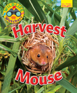 Harvest Mouse