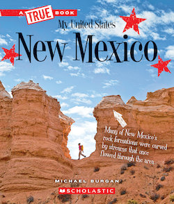 New Mexico