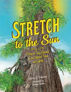 Stretch to the Sun: From a Tiny Sprout to the Tallest Tree on Earth