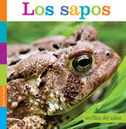 Los sapos (Toads)