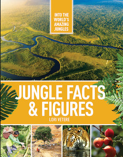 Jungle Facts & Figures