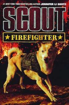 Firefighter