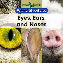 Eyes, Ears, and Noses