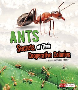 Ants: Secrets of Their Cooperative Colonies