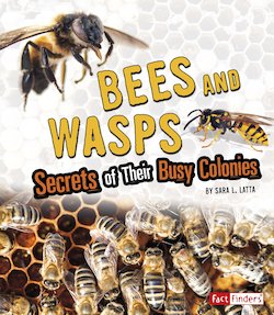 Bees and Wasps: Secrets of Their Busy Colonies