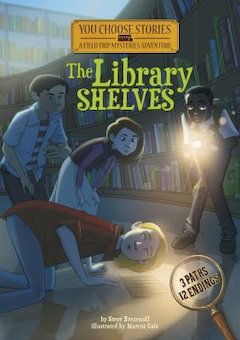 The Library Shelves: An Interactive Mystery Adventure