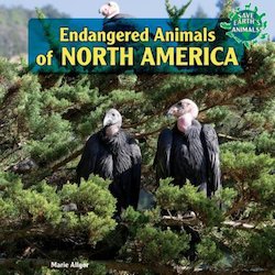 Endangered Animals of North America