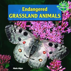 Endangered Grassland Animals