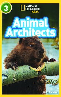 Animal Architects