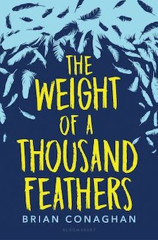 The Weight of a Thousand Feathers