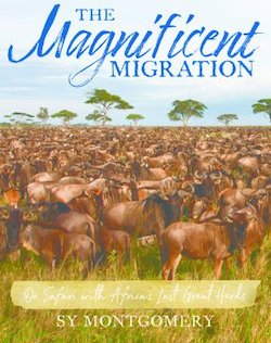 The Magnificent Migration: On Safari with Africa's Last Great Herds