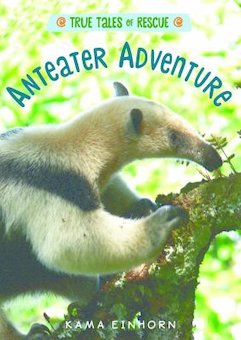 Anteater Adventure