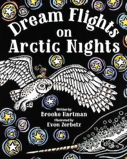 Dream Flights on Arctic Nights