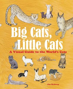 Big Cats, Little Cats: A Visual Guide to the World's Cats