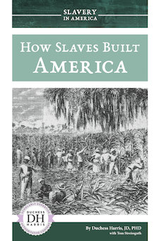 How Slaves Built America