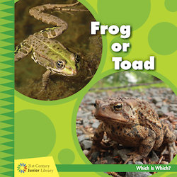 Frog or Toad