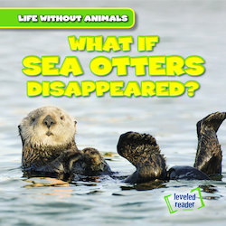 What If Sea Otters Disappeared?