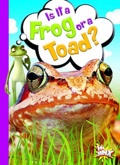 Is It a Frog or a Toad?