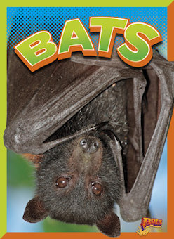 Bats