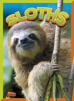 Sloths