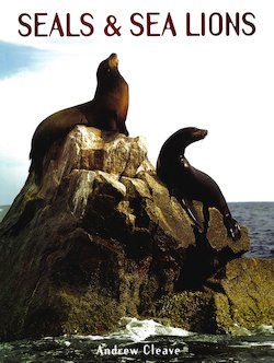 Seals & Sea Lions