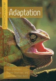 Adaptation