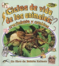 Ciclos de vida de los animales: Crecimiento y cambios (Animals Life Cycles: Growing and Changing)