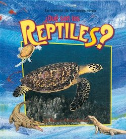 Que son los reptiles? (What is a Reptile?)