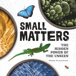 Small Matters: The Hidden Power of the Unseen