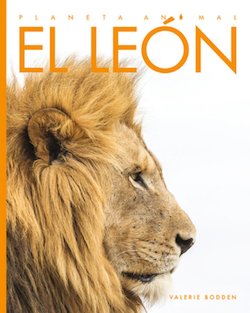 El leon (Lions)